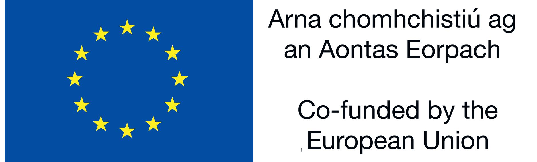 Co-funded by the European Union